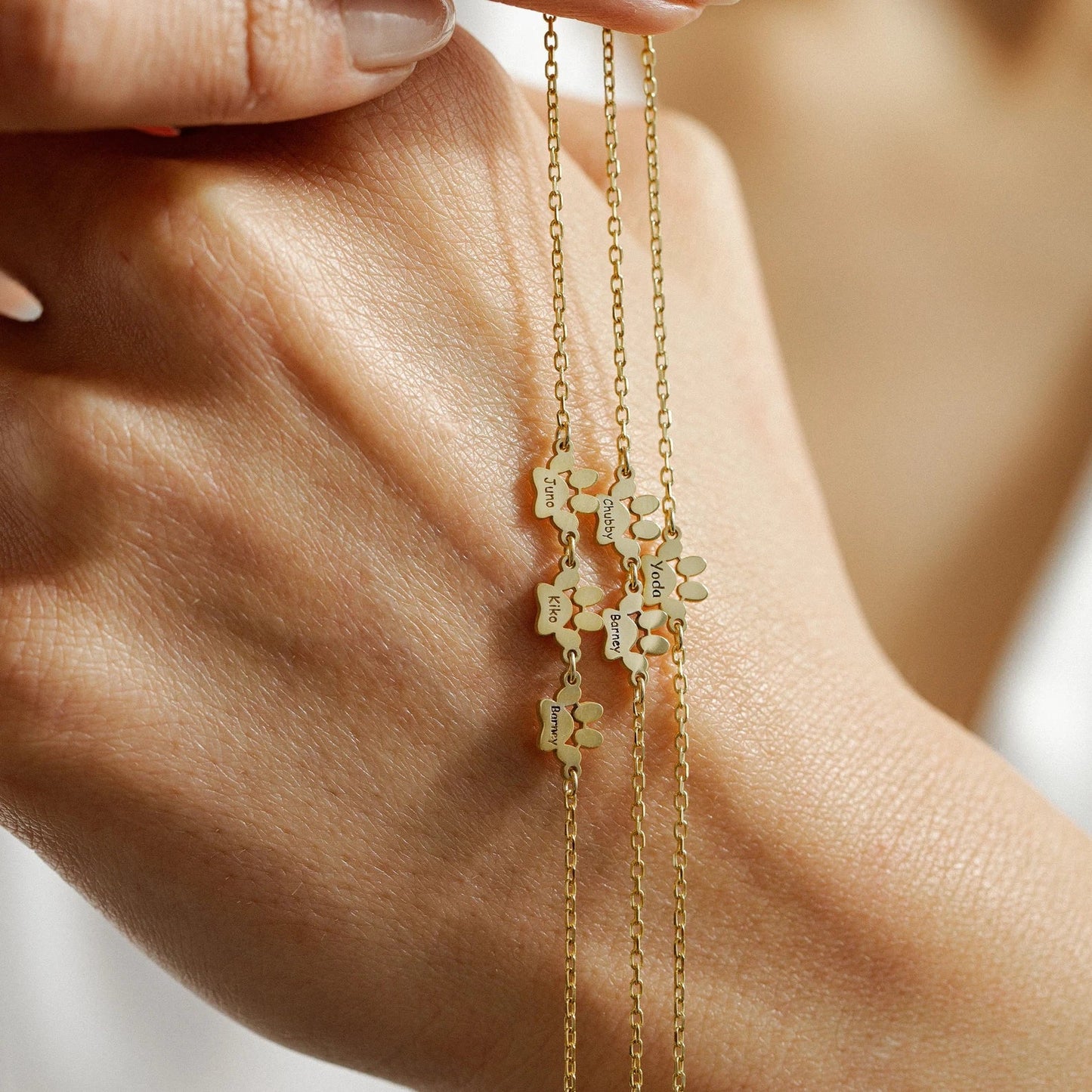 Mis Mascotas Queridas